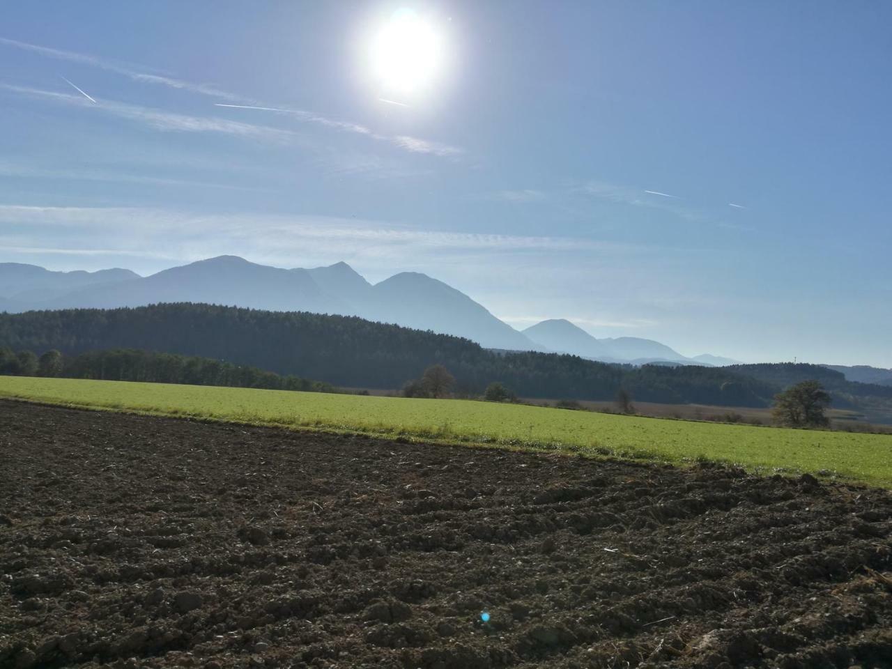 Landgasthof Piroutz Sankt Kanzian am Klopeiner See Esterno foto